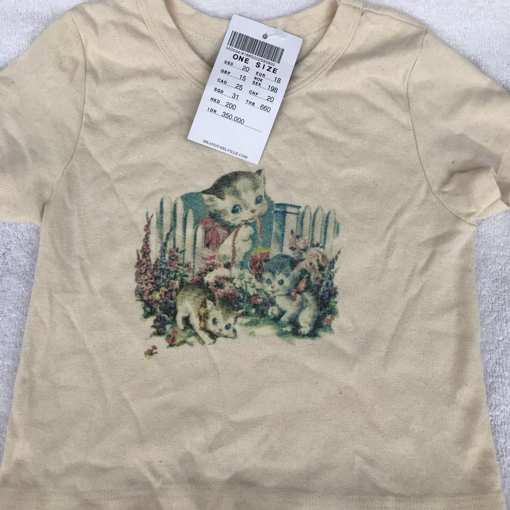 Brandy Melville crop tops New